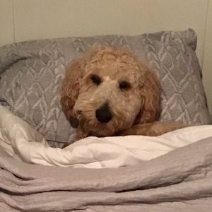 Meet your Posher, Jackie